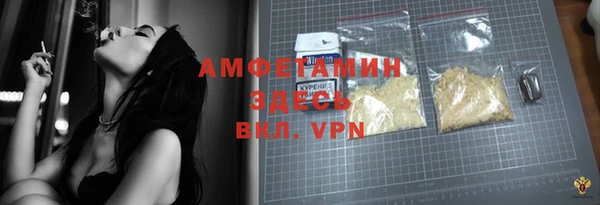прущие грибы Абаза