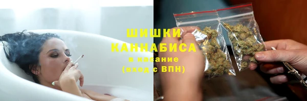 прущие грибы Абаза