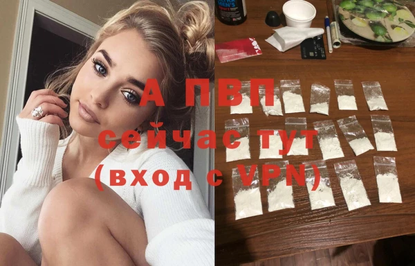 СК Абинск