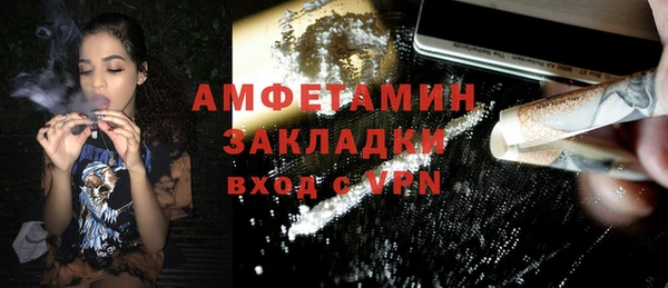 прущие грибы Абаза