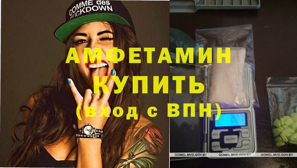 прущие грибы Абаза