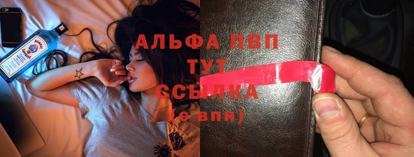 прущие грибы Абаза