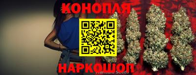 ECSTASY Новозыбков