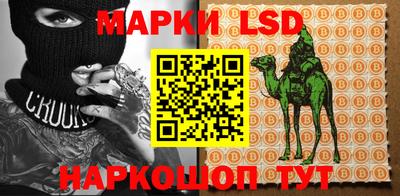 ECSTASY Новозыбков