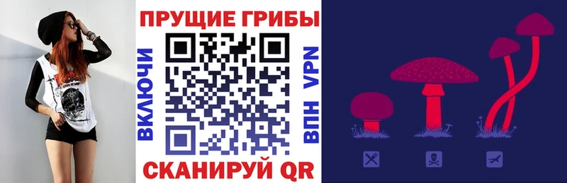 где продают наркотики Благовещенск это какой сайт Галлюциногенные грибы Psilocybe