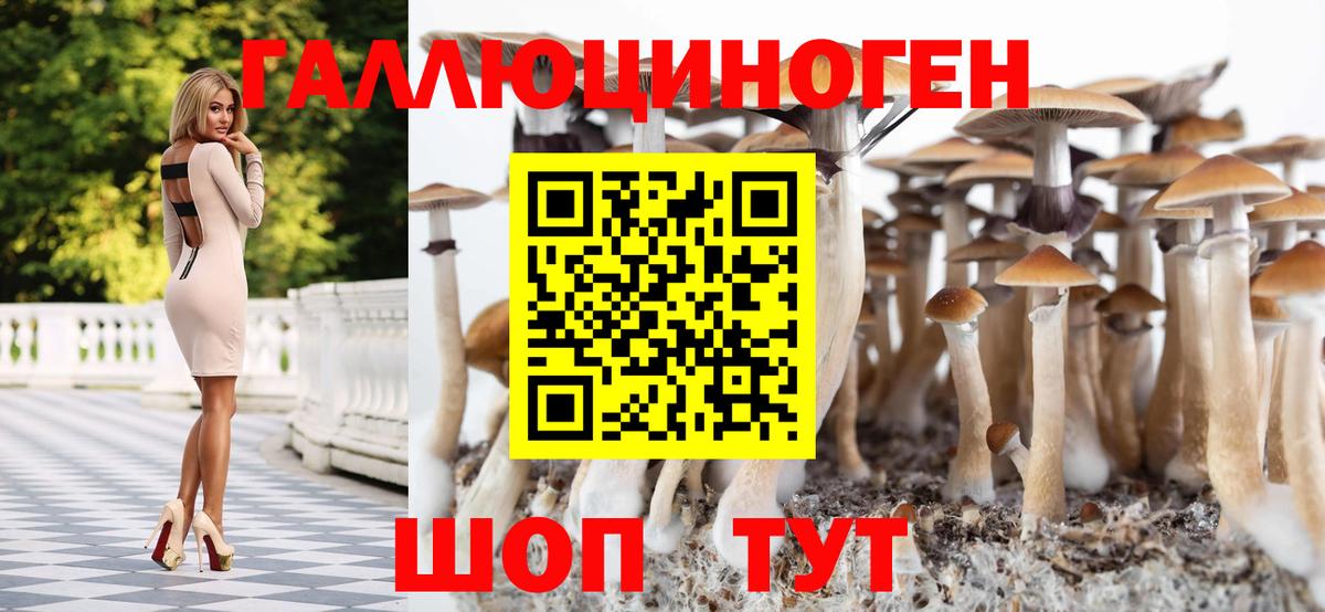 Галлюциногенные грибы прущие грибы  Вход с VPN  Псилоцибиновые грибы мицелий  Благовещенск 